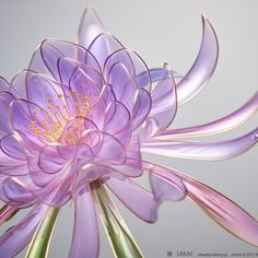 a purple flower with green stems in front of a gray background