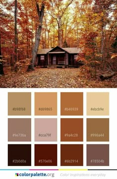 the color palette for autumn is brown, orange and yellow with an old cabin in the woods