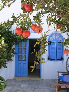 an entrance to a house with blue shutters and fruit hanging from the tree branches