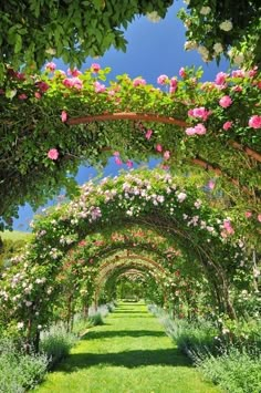 an arch covered in flowers and greenery with pink roses growing on the side of it