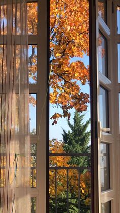 an open window looking out onto the trees outside in front of it with fall foliage