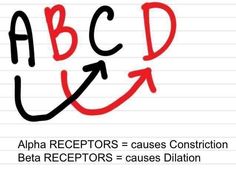 the abc and d letters are drawn on lined paper with red marker writing in it