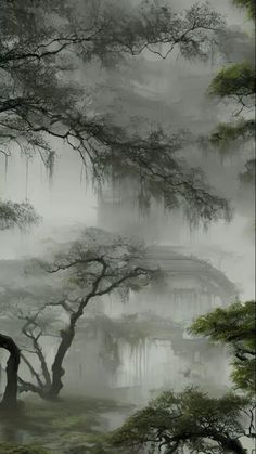 an image of a foggy forest with trees in the foreground