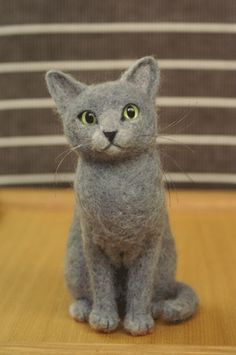 a gray cat sitting on top of a wooden table