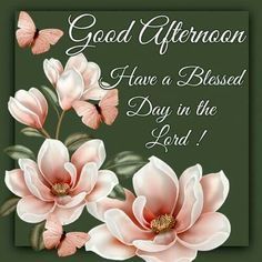 a greeting card with pink flowers and butterflies on green background that says, good afternoon have a blessed day in the lord