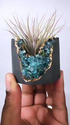 a person holding up a piece of rock with some plants in it