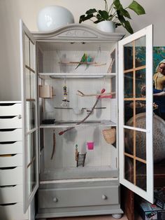 a white cabinet with lots of different items in it and a potted plant next to it