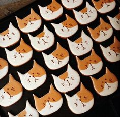 many decorated cookies are arranged in the shape of cat heads on a tray with black background