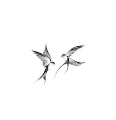 two black and white birds flying in the sky with their wings spread out to each other