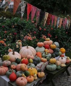 there are many different types of pumpkins on display in this garden area with bunting