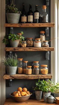 an assortment of spices and herbs are displayed on shelves in a kitchen with potted plants