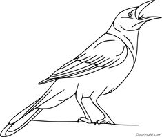 a black and white drawing of a bird