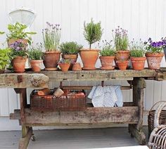 several potted plants sit on an old wooden table