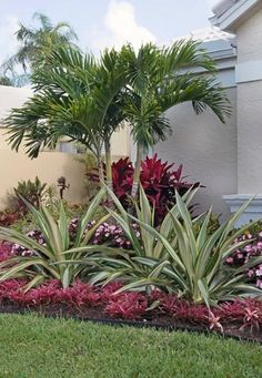 this is a nice tropical garden in front of a house