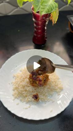 a white plate topped with rice and meat on top of a table next to a potted plant