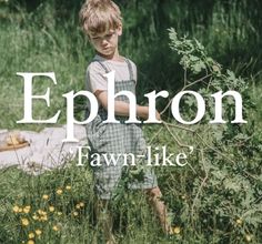 Biblical boy name Ephron. Fantasy Mountain Names, Theodore Name Meaning, Names Meaning Nature, Names Meaning Strength, Soft Boy Names, Boy Names Meaning, Village Names, Boy Names With Meaning, Boy Name Meanings