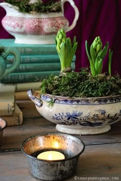 a potted plant sitting on top of a table next to a candle