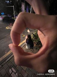 a person sitting on the ground with their hand in front of them, making a heart shape