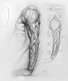 a pencil drawing of a man's legs and arm, with the muscles visible