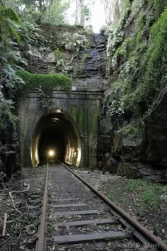 a train track going into a tunnel in the woods