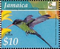 a postage stamp with a hummingbird and flowers on it's front, printed in jamaica