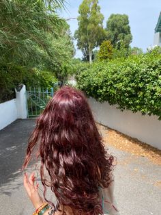 Naturally Wavy Hair Color Ideas, Dark Red Hair Aesthetic Curly, Hair Color Ideas Wavy Hair, Red Tinted Brown Hair Curly, Cherry Red On Curly Hair, Deep Cherry Red Hair Curly, Red Cherry Hair Curly, Hair Dye Ideas For Wavy Hair, Dark Red Hair On Curly Hair