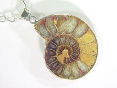 BUTW Silver Ammonite nautiloid fossil 37 mm 40ct pendant necklace jewelry 4477D         You get the exact one shown It is set in sterling silver. The bail is 4 mm wide x 7 mm tall Comes with FREE 18" sp chain the measurement in mm is the length including the bale US penny is 0.75 inches (19 mm) in diameter. (1" = 25.4 mm) This fossil is thought to be from the Permian period (250 million years ago) Ammonites are an extinct group of marine invertebrate animals the ammonoid cephalopods first appear Us Penny, Artisan Jewelry Necklaces, Handcrafted Artisan Jewelry, Guys Be Like, Artisan Jewelry, Fossil, Jewelry Watches, Jewelry Necklace Pendant, Jewelry Necklaces