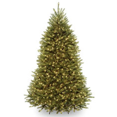 a green christmas tree with white lights on the top and bottom branches, against a white background