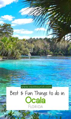 Ocala travel itinerary
Ocala travel bucket list
What to do in Ocala Florida 
Places to visit in Ocala Florida 
Best and Fun things to do in Ocala Florida 
Top attractions to see in Ocala Ocala Florida Things To Do, Florida Itinerary, Itinerary Ideas, Florida Weather, Florida Art, Vacation Usa