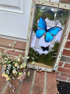 a blue butterfly sitting on the ground next to a frame with flowers in front of it