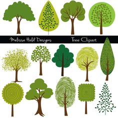 various trees with different shapes and colors