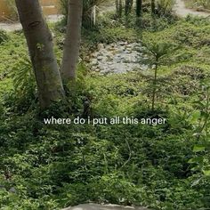 there is a small creek in the middle of some grass and trees with words written on it