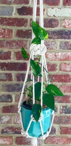 a potted plant hanging from a rope on a brick wall