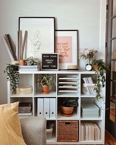 a living room filled with lots of plants and books on top of a book shelf