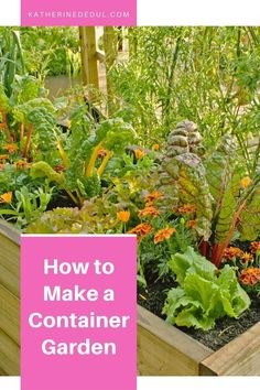 a garden filled with lots of different types of plants and flowers, including lettuce