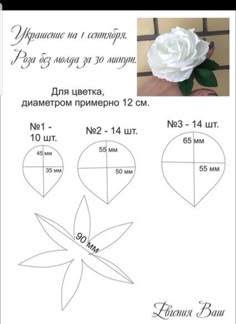 the instructions for how to make a paper rose with leaves and petals in russian language