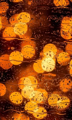 raindrops on the window with orange lights in the background