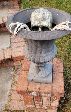 there is a skull in the planter outside