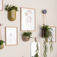 Wand én hang bloempotten van Present Time! Deze leukerds shop je nú in de nieuwste trend kleuren van dit seizoen online bij Skandinavien.nl Family Command Center Wall, Wall Plant Pot, Indoor Plant Wall, Apartment Decorating On A Budget, Plant Wall Decor, Hanging Plant Wall, Gallery Wall Living Room, Office Room Decor, Present Time