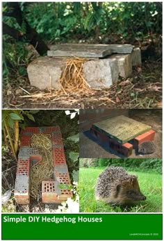 an image of a hedgehog house in the woods with other pictures and information about it