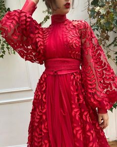 Details: -Carnelian red colour -Tulle fabric with embroidered leaves -A-line with waist definition and sleeves -For special occasions Crying In The Club, Dress Pic, Teuta Matoshi, Romantic Lace, Gala Dresses, Dress Sewing, Tulle Fabric, Club Monaco, The Club