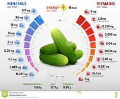 the benefits of vitamins for your body and health info graphic on white background with green cucumbers