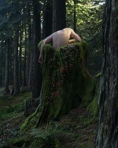 a naked woman laying on top of a moss covered tree stump in the woods with trees around her