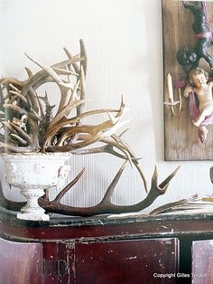 antlers are on top of an old dresser