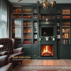 a living room filled with furniture and a fire place in the middle of a book case