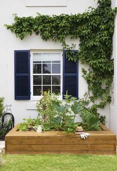 a house with blue shutters and green plants