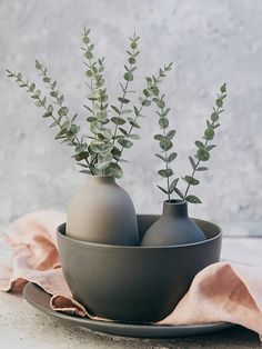 two gray vases with plants in them on a plate next to a pink cloth