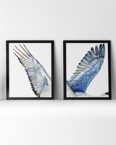 Watercolor painting set of a flying bird. Watercolor Set, Childrens Hospital, Medical Center, Watercolor Print, Discount Code, Animal Art, Starry Night, Watercolor Art