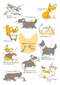 an image of dogs in different poses on a white background with japanese characters around them