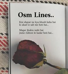 an open book with a flower on the front and back cover that reads, osm lines